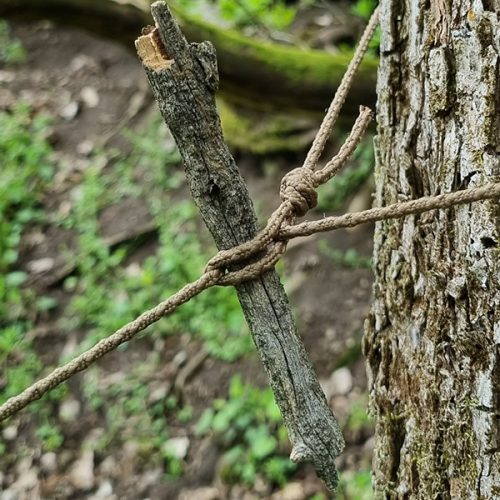 Bushcraft önzáró zsinór - coyote